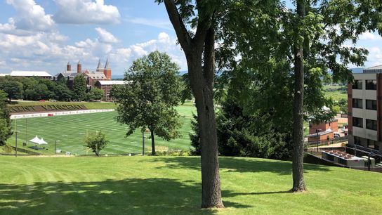 Final: Steelers training camp, Fitzpatrick, Alualu to sit out start of camp taken in Latrobe, Pa.  (Live coverage)